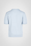 Dawson Johnny Collar Knit Polo